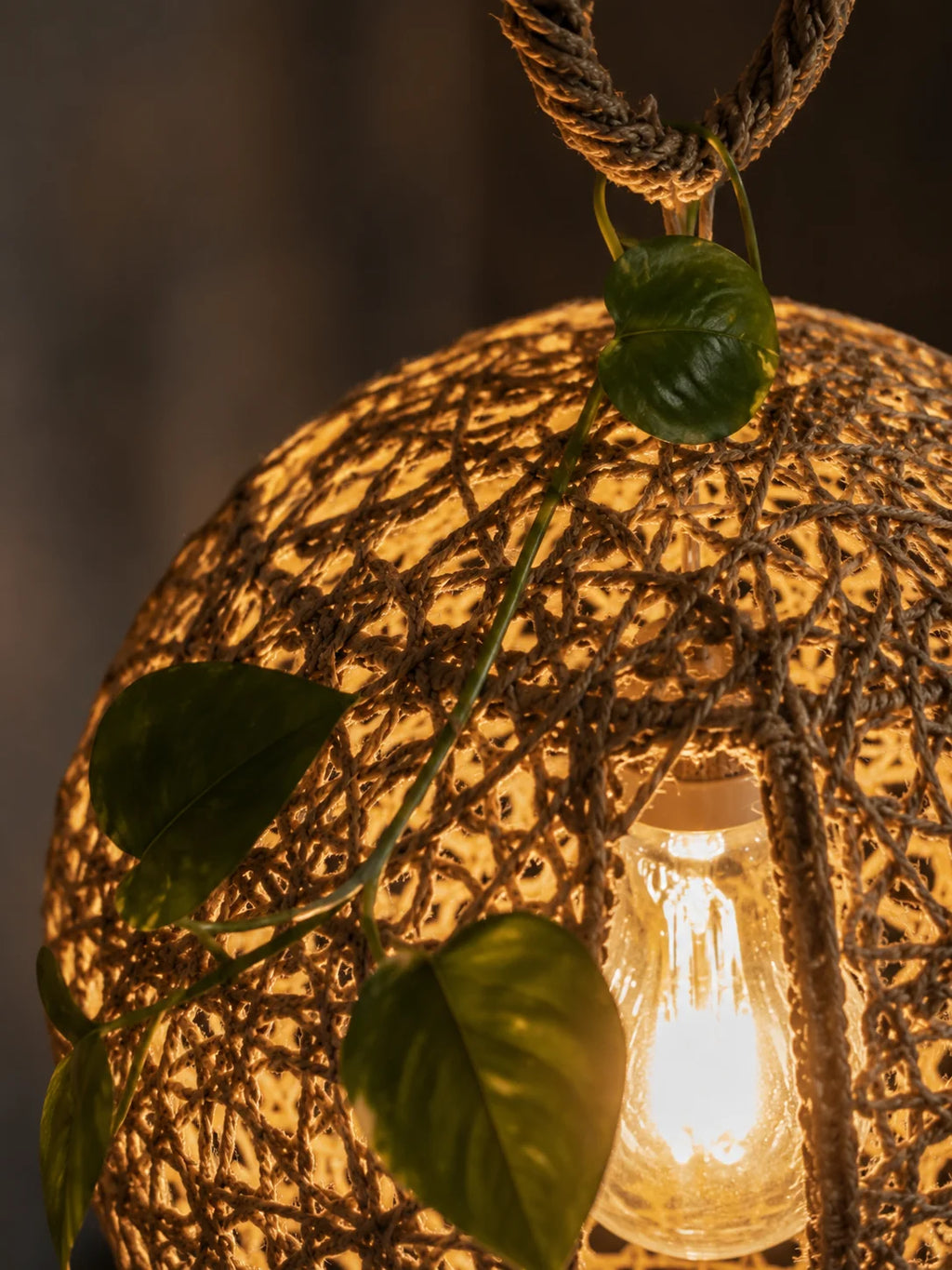 Handmade Home Decor – Nature Glow Lamp